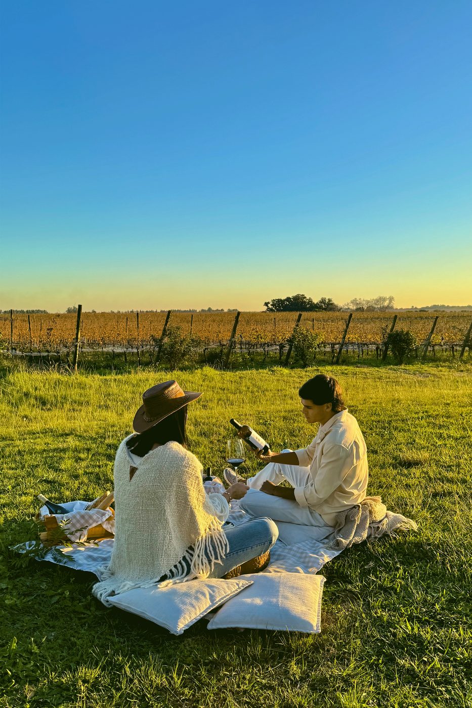Dos personas sentadas sobre una manta en el viñedo, al atardecer, con una botella de vino