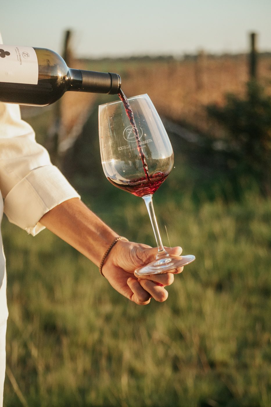 Una persona sirve vino tinto en una copa, con el viñedo de fondo